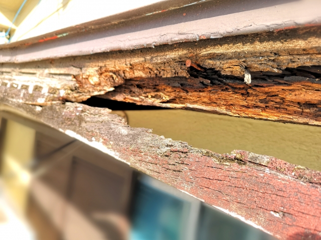 外装の木部で起きるトラブルとメンテナンス方法 画像