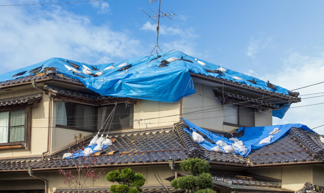 台風　自然災害　写真