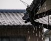 屋根・外壁・外構リフォームで水害に強い家：雨水管理と耐久性の強化 アイキャッチ画像