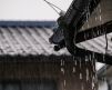 梅雨の雨、夏の湿気から家を守る屋根の防水 アイキャッチ画像