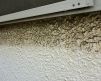 家の北側の屋根・外壁の汚れ対策 アイキャッチ画像