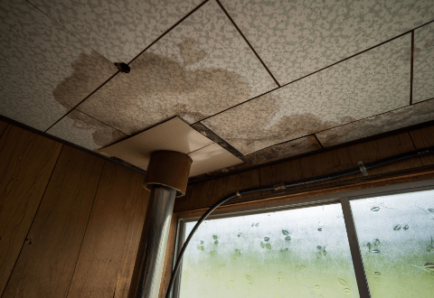 屋根の雨漏りの原因と対策 アイキャッチ画像