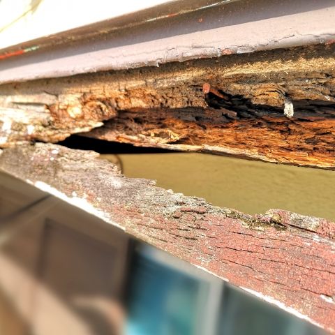 外装の木部で起きるトラブルとメンテナンス方法 アイキャッチ画像